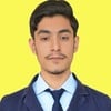 Ameer H.