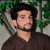 Shahbaz F.