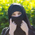 Iqra B.
