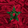 Anouar G.