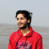Sarthi K.