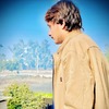 Mehmood H.
