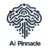 Ai Pinnacle P.
