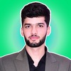 Sayed Hamidullah O.