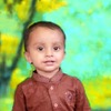 Shahid R.
