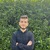 Mohammad A.