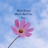 Eman A.