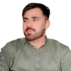 Shahzad I.