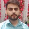 Abhinav S.