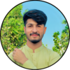Javed A.