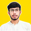 Shahzaib K.