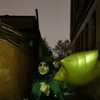 Fatemeh S.