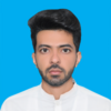 Sheraz H.