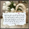 Sehrish K.