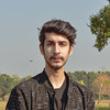 Muhammad Talha A.