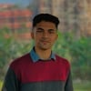 Mahir Foysal S.
