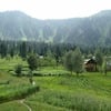Alishba K.