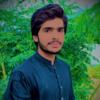 Mubashar H.