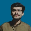Hamza F.