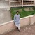 Wasif A.