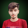Muhammad Nouman A.