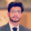 Faizan U.