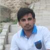 Ghazanfar A.