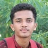 MD Sadhin Sarkar S.