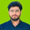 Hasnain Q.