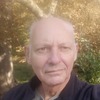 Wim V.